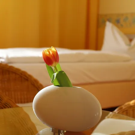 Parkhotel Klueschenberg